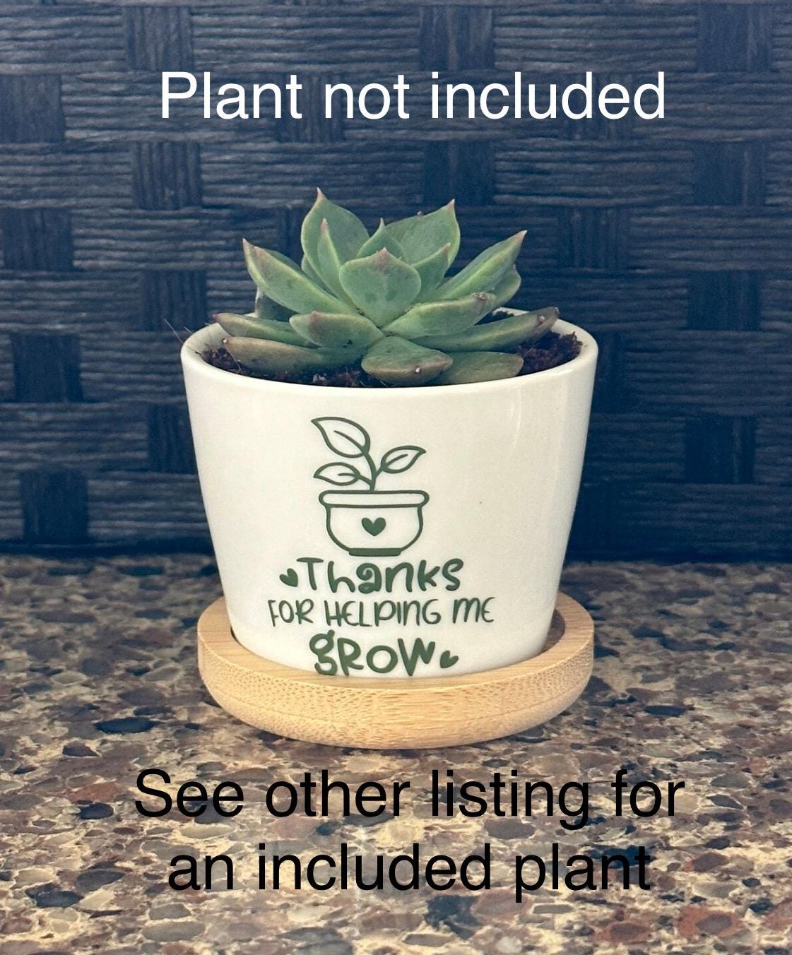 Teacher Appreciation Mini Succulent Flower Pot (plant not included) see other listing for included plant)