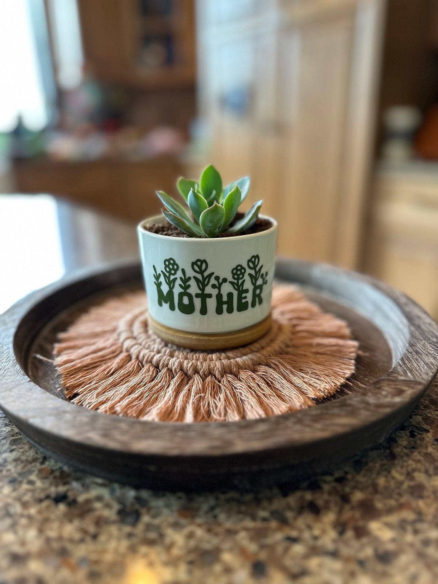 Mother's Day Succulent Flower Pot / Expecting Mother 2025 succulent flower pot