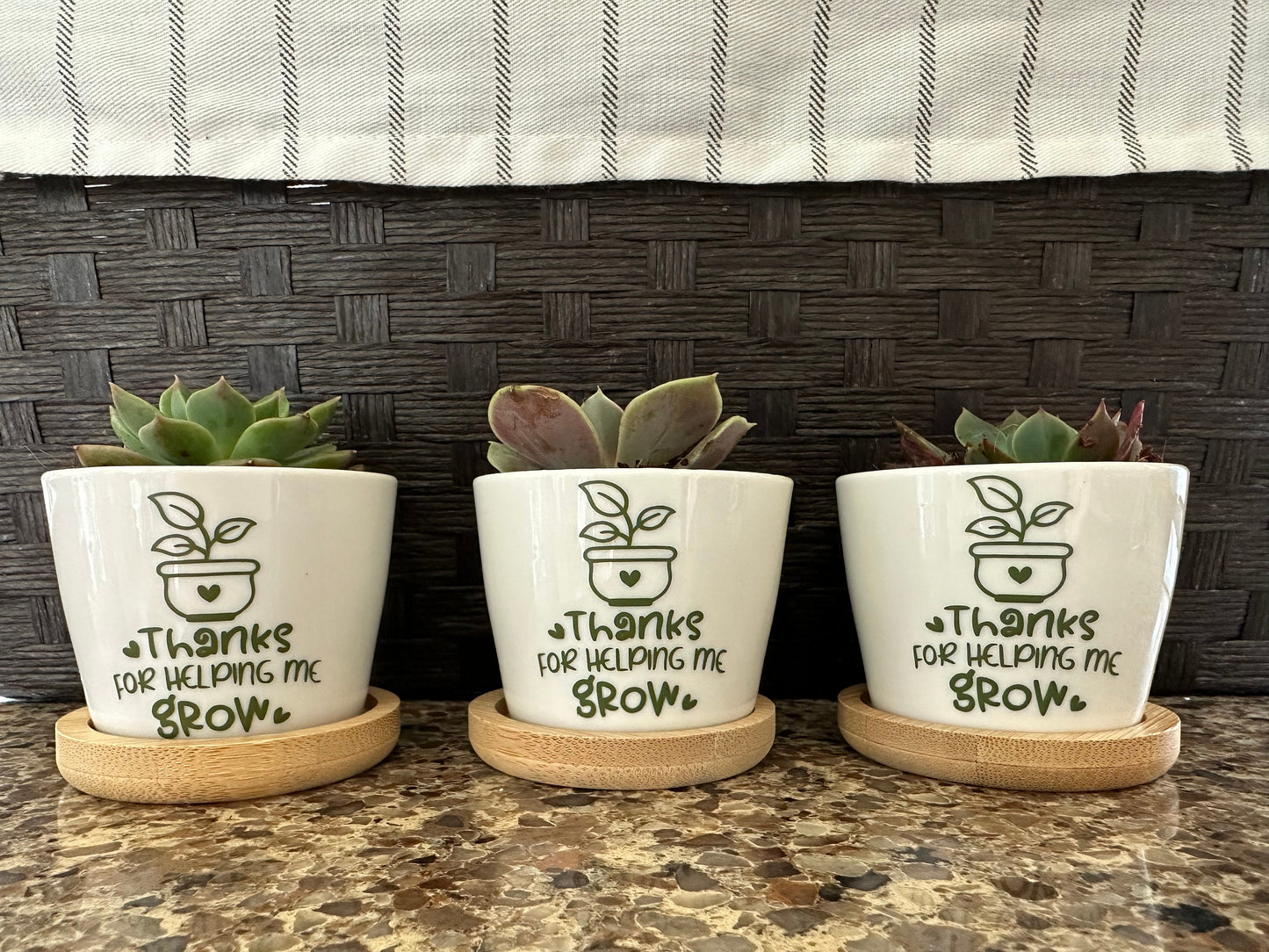 Teacher Appreciation/Thank you Mini Succulent Flower Pot