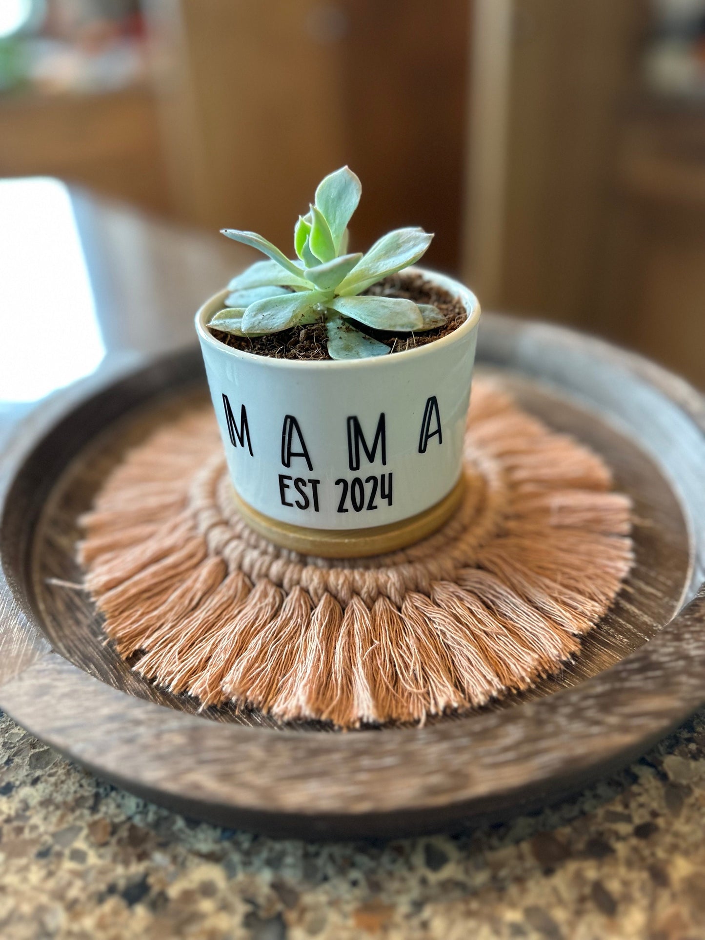 Mother's Day Succulent Flower Pot / Expecting Mother 2025 succulent flower pot