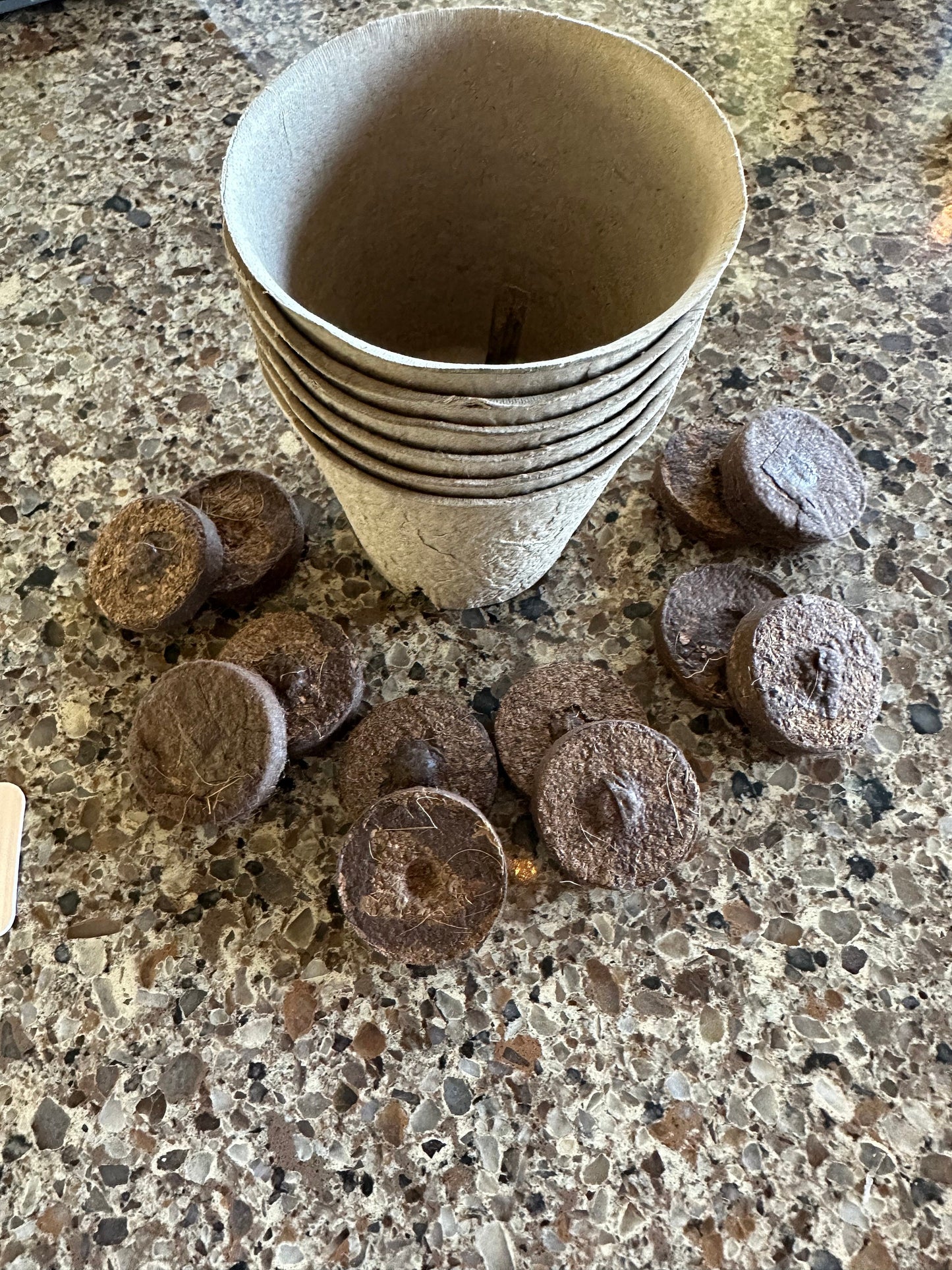 My First Organic Gardening Kit