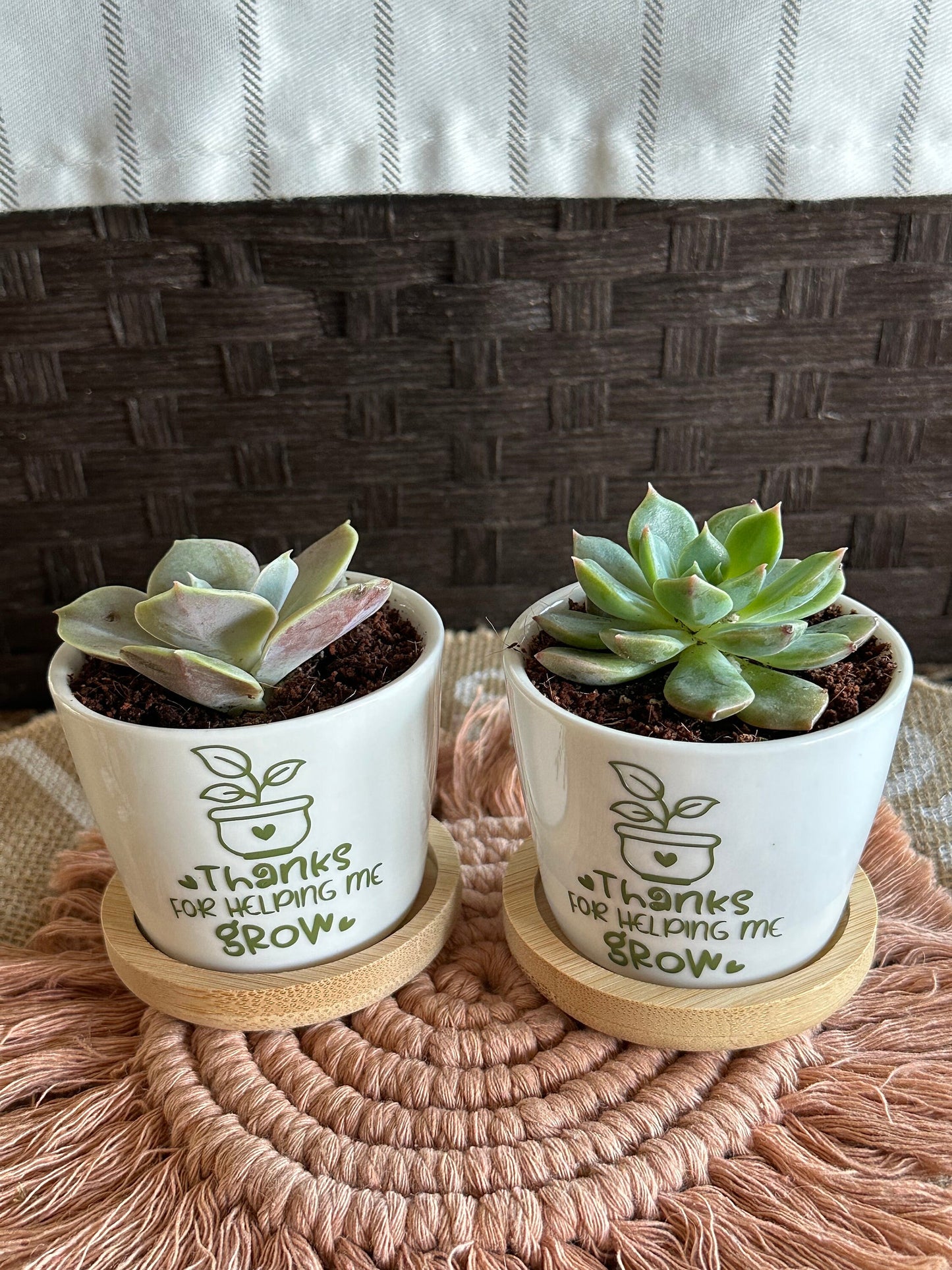 Teacher Appreciation/Thank you Mini Succulent Flower Pot