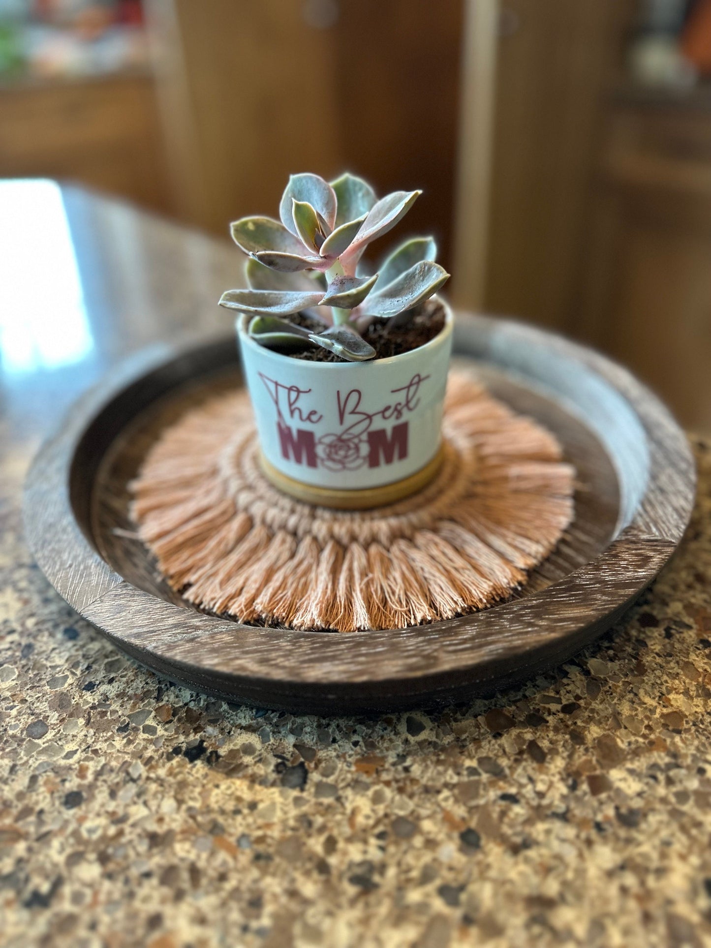 mother's day succulent pot Mother's Day Succulent Flower Pot / Expecting Mother 2025 succulent fl – Willow Roots Essentials
