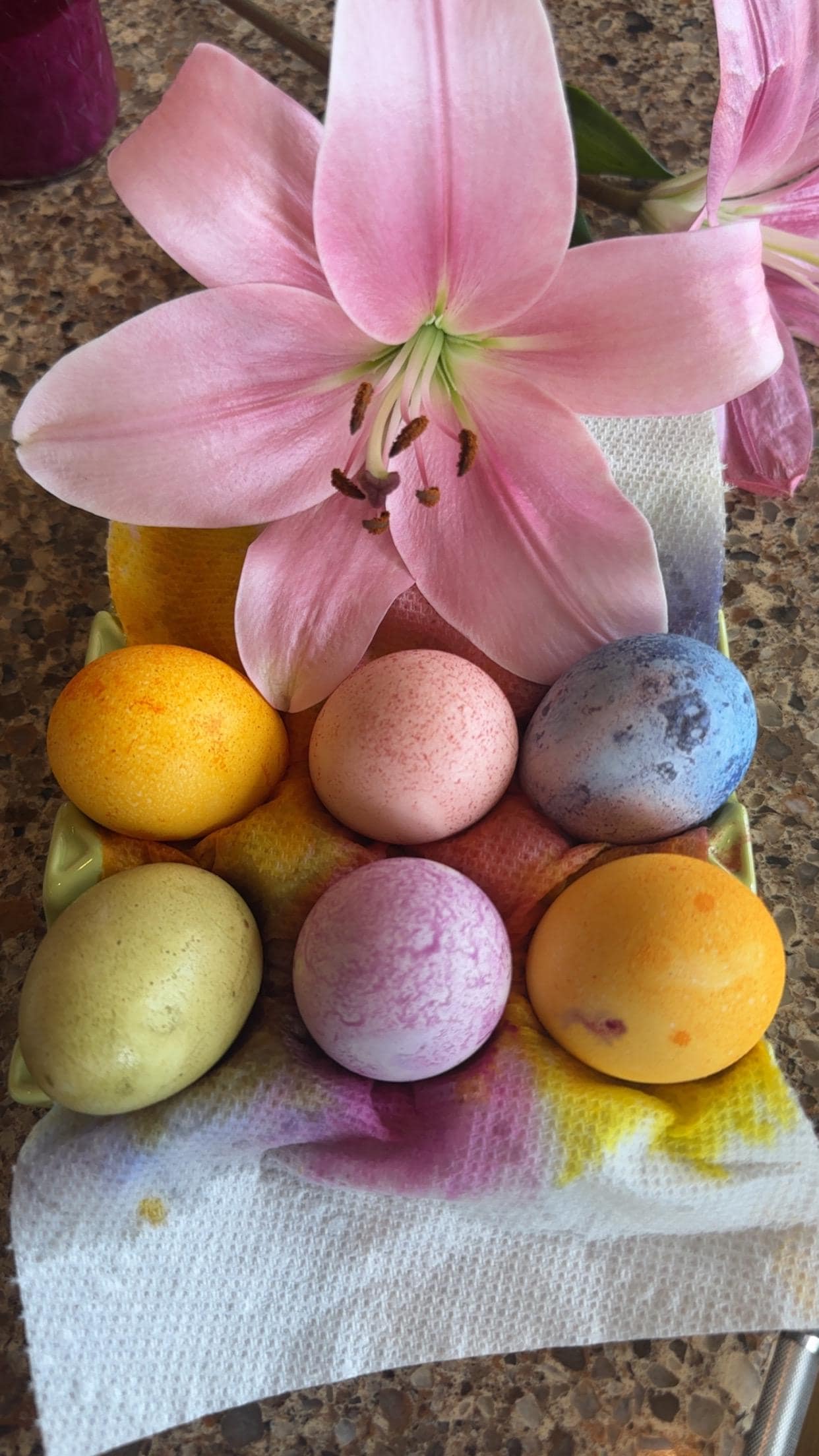 Organic & artificial dye free Easter egg coloring/dye kit with bonus Easter grass kit!