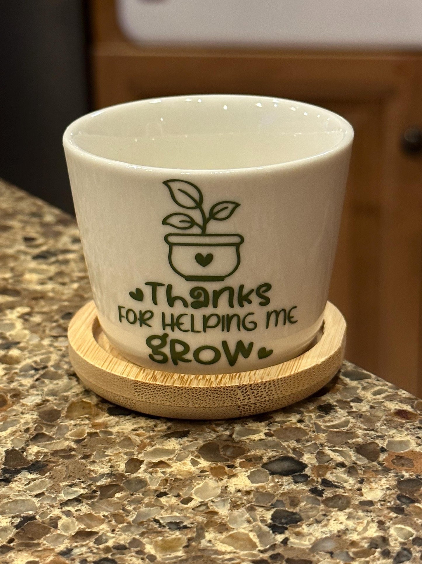 Teacher Appreciation Mini Succulent Flower Pot (plant not included) see other listing for included plant)