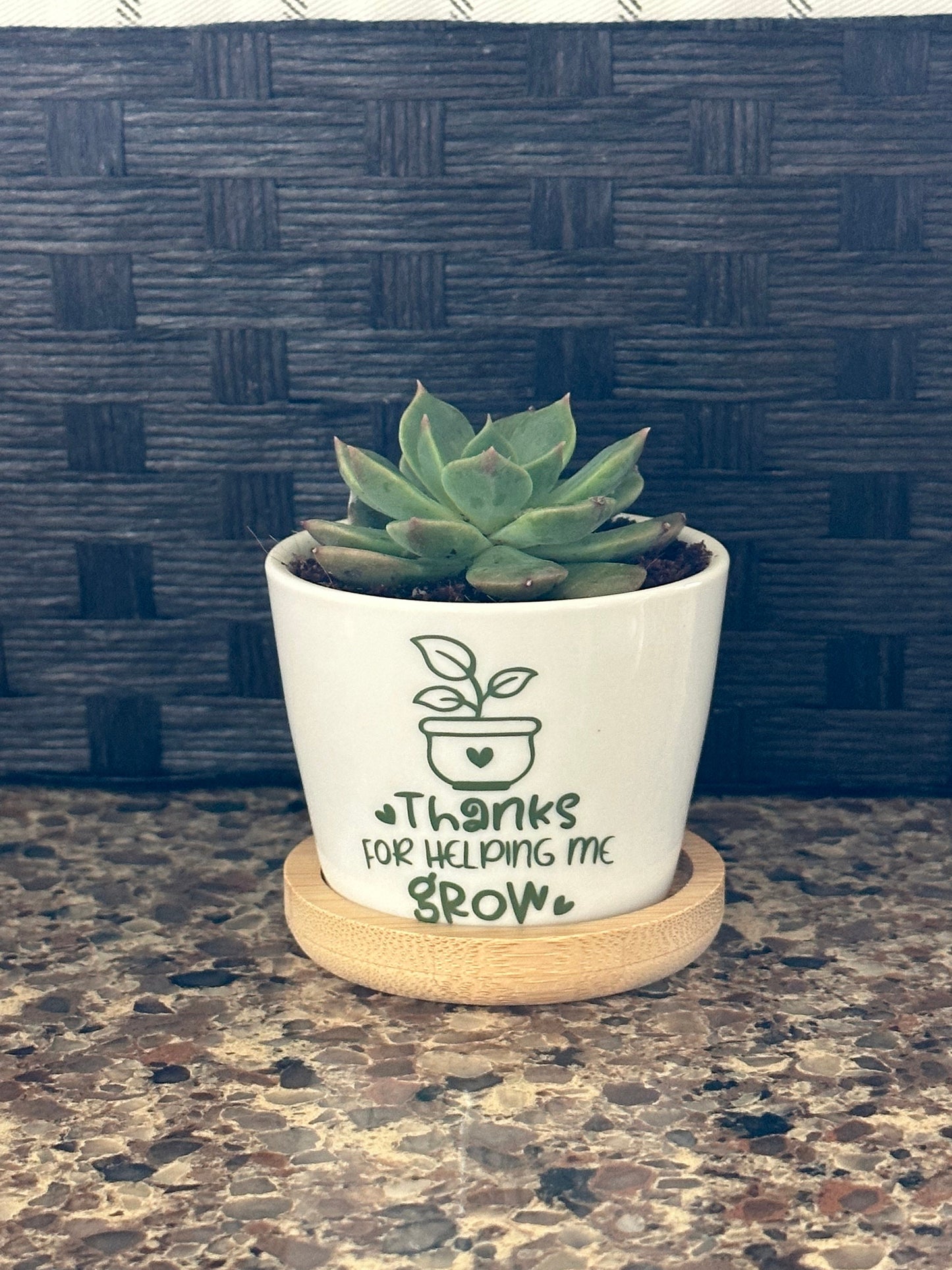 Teacher Appreciation/Thank you Mini Succulent Flower Pot