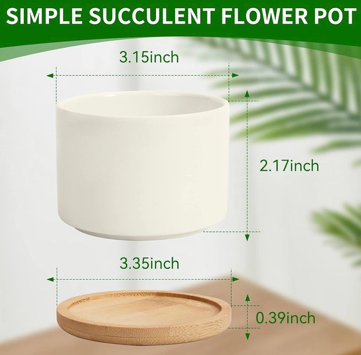 Mother's Day Succulent Flower Pot / Expecting Mother 2025 succulent flower pot