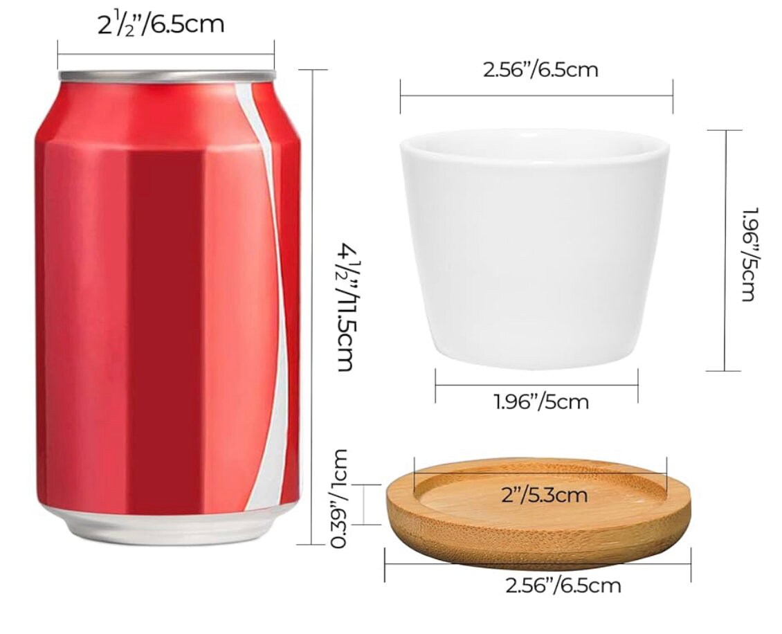 Teacher Appreciation/Thank you Mini Succulent Flower Pot